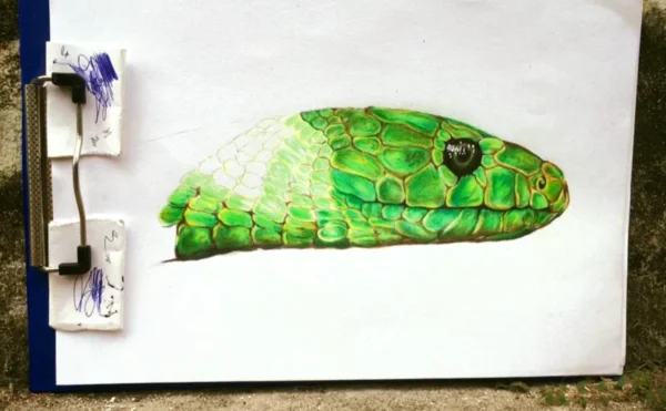 3D Snake - Coloured Painting